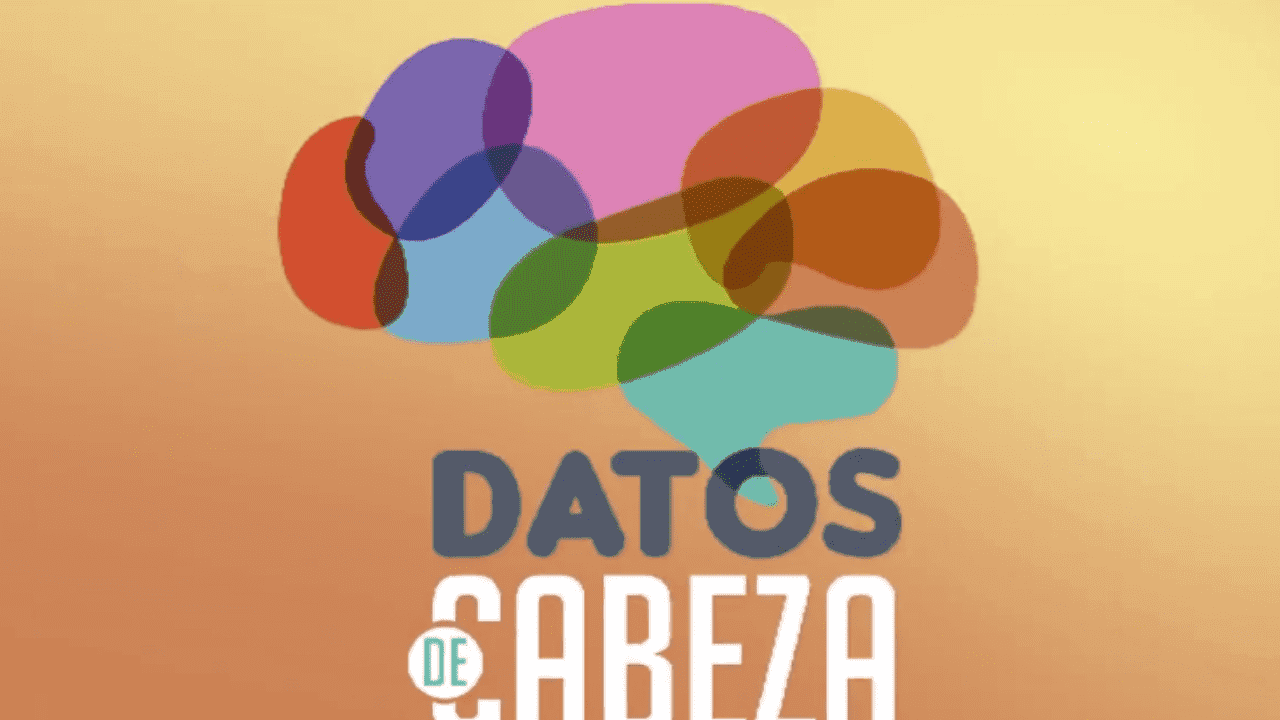 Imagen Principal de Nota: Datos de cabeza: un programa donde aprenderás un poco de todo