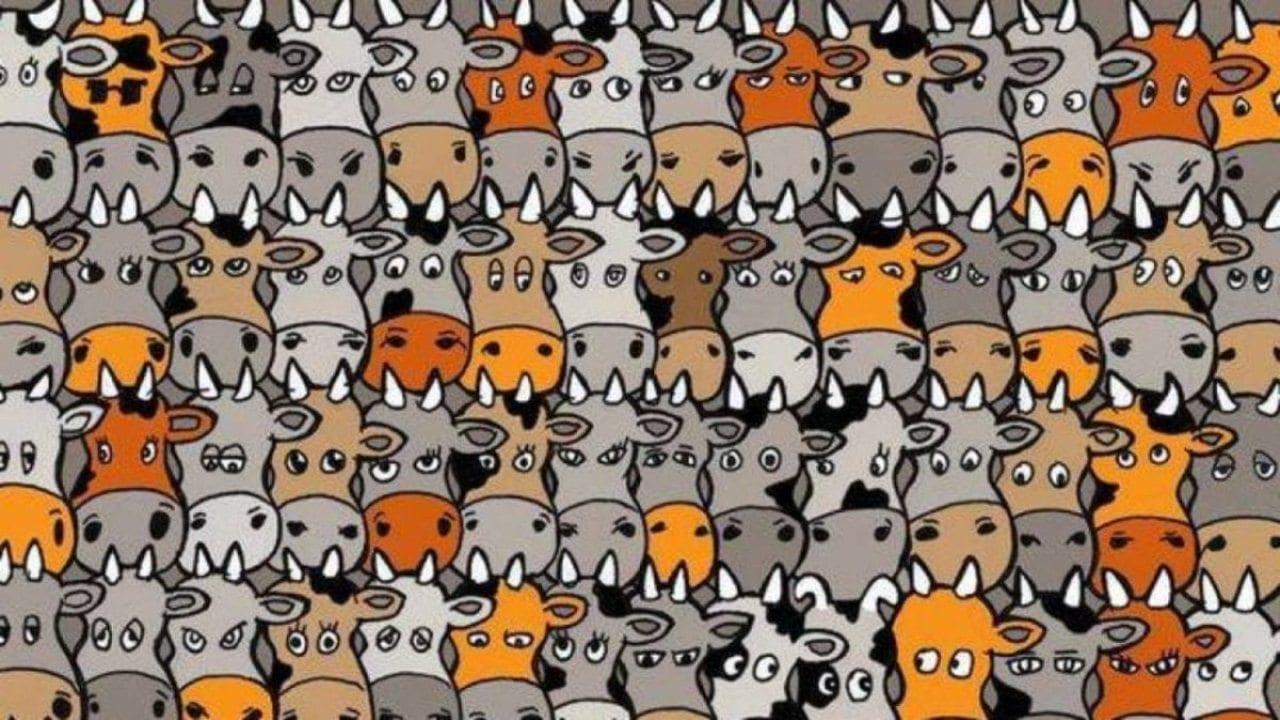 Imagen de Reto visual: ¿qué tan rápido puedes  encontrar al perro entre estas vacas?