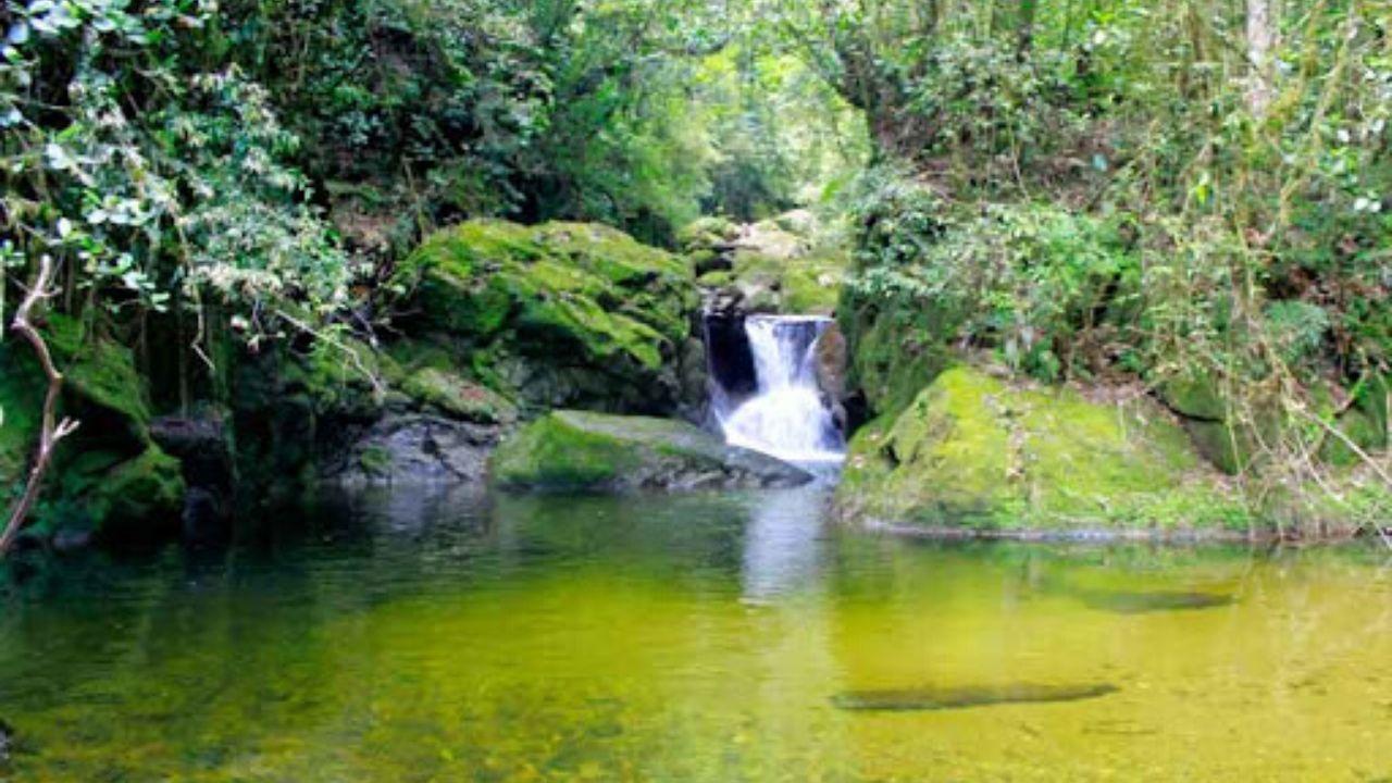Imagen Principal de Nota: Científicos revelan que más de  mil 500 millones de personas dependerán del agua de montaña a mitad de siglo