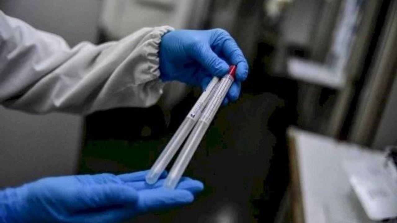 Imagen Principal de Nota: Nueva cepa del coronavirus es 10 veces más infecciosa que la actual según científicos