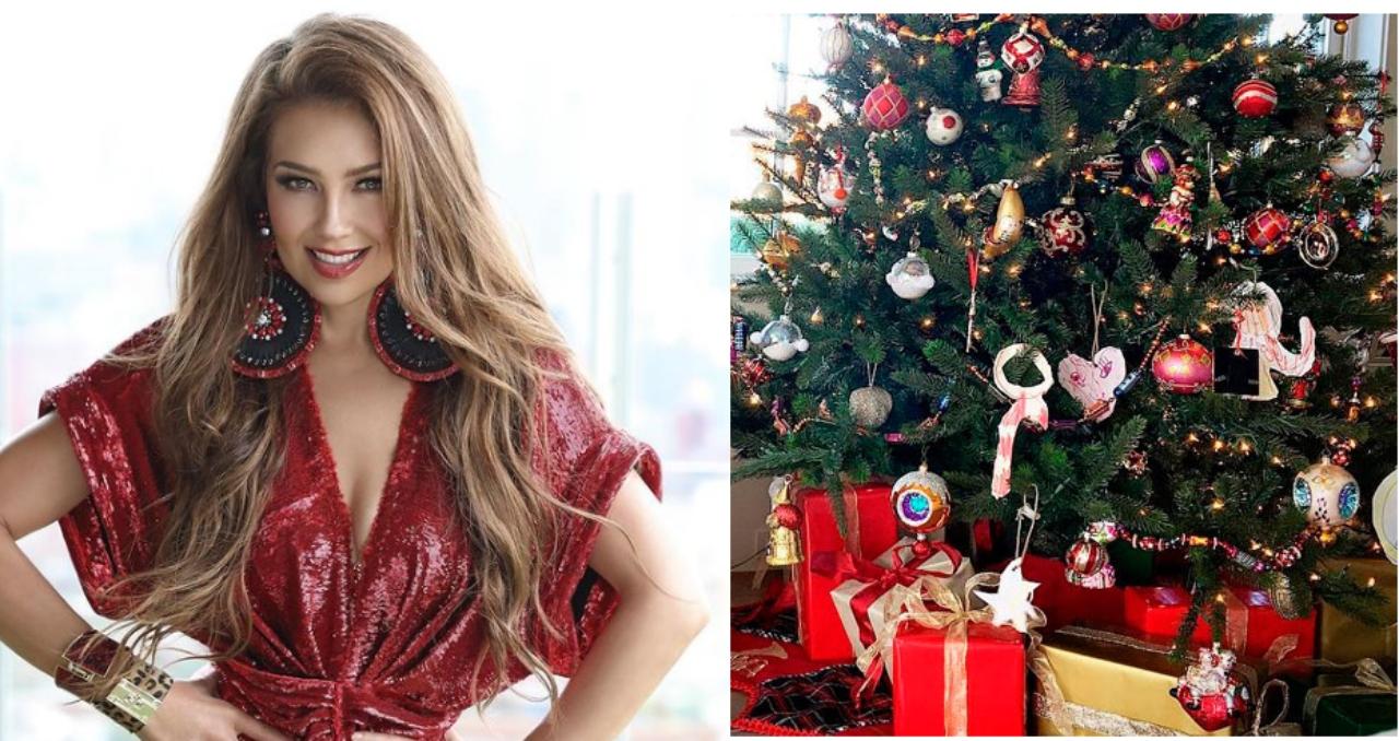 Imagen Principal de Nota: Thalía sorprendió a sus seguidores al mostrar su lujoso árbol de Navidad