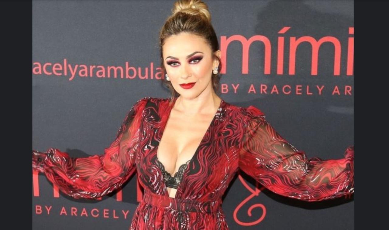 Imagen de Aracely Arámbula conquista Instagram con sensual foto al llevar un elegante escote