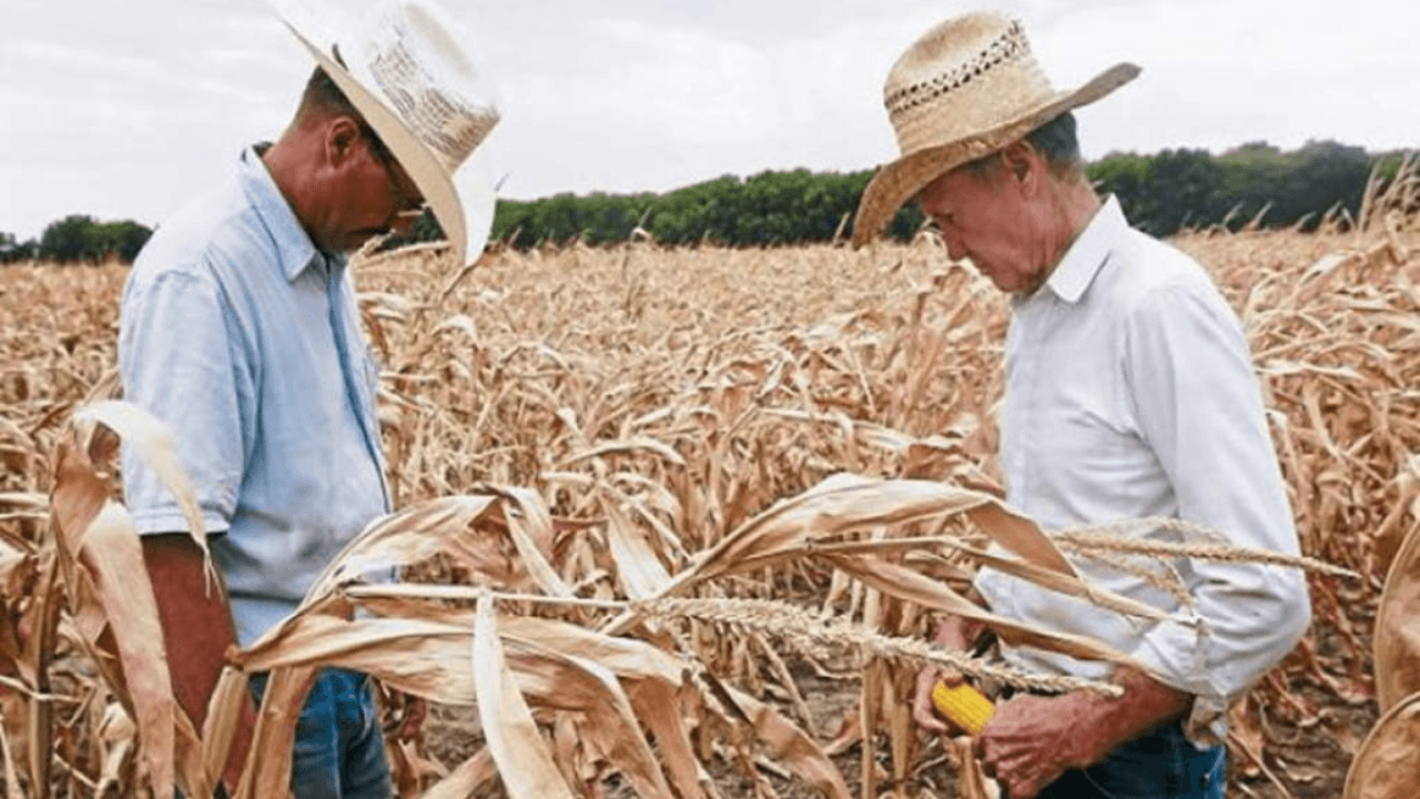 Imagen Principal de Nota: Porque nos Importa: Punto estratégico en Honduras para la economía y agroindustria fue destruido tras el paso de Eta y Iota