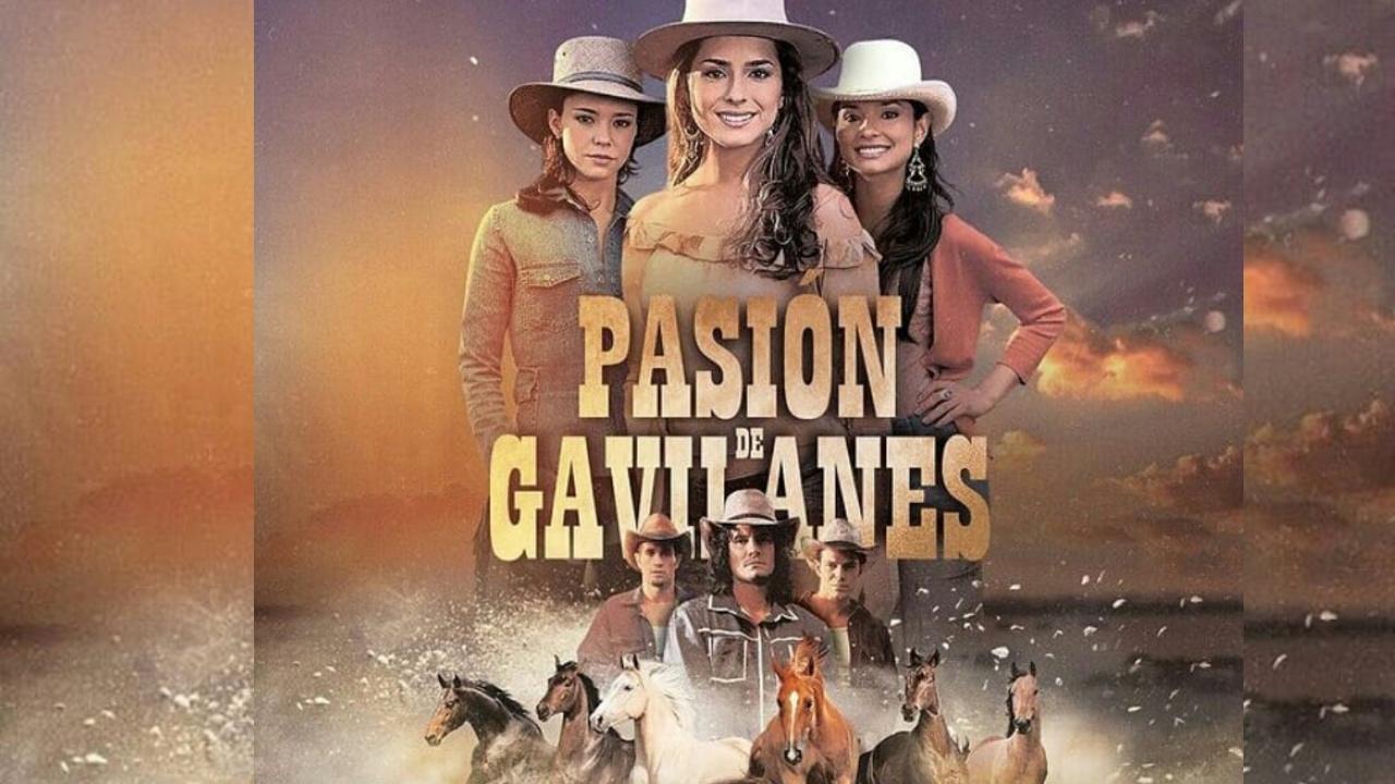 Imagen Principal de Nota: Confirman que habrá la segunda parte de Pasión de gavilanes ¿participarán los seis protagonistas?