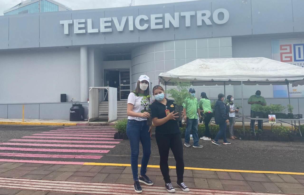 Imagen de PlantatónHN: Televicentro y Emisoras Unidas realizaron con éxito la segunda entrega de arbolitos
