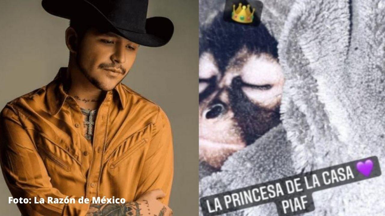 Imagen Principal de Nota: Christian Nodal presume a un mono araña que tiene como mascota y podría enfrentar problemas legales, aquí la razón
