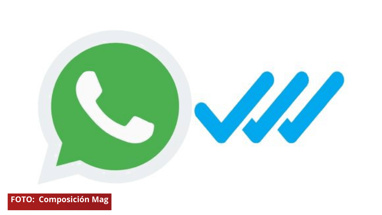 Imagen Principal de Nota: WhatsApp: Conoce para qué sirve y en qué situaciones saldría un tercer check azul