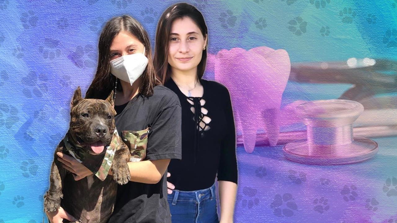Imagen Principal de Nota: Hondureña emprende negocio de ropa para perros y así cumplir su sueño de convertirse en odontóloga