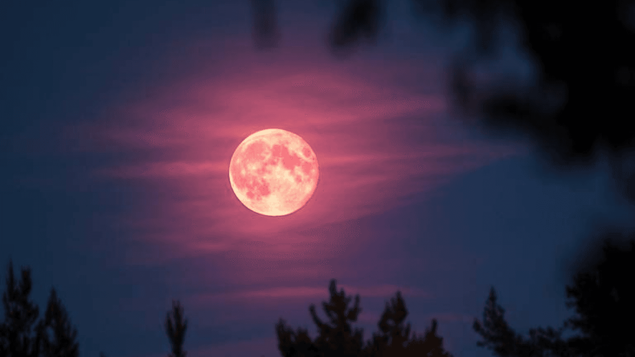 Imagen Principal de Nota: Luna llena rosa: ¿Cuándo y a partir de qué hora se podrá ver en Honduras?