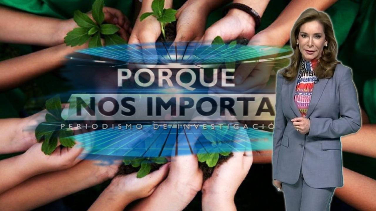 Imagen Principal de Nota: Porque Nos Importa: Honduras reporta más de 500 incendios forestales en 2022