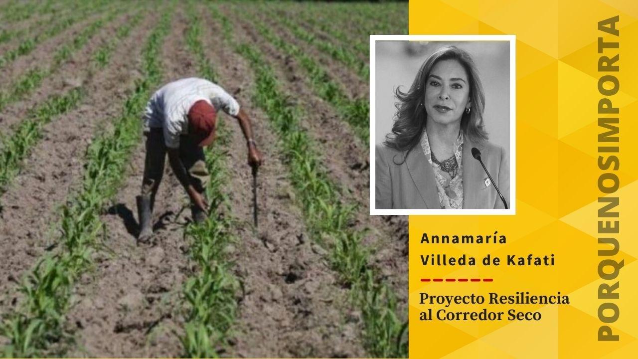 Imagen Principal de Nota: Porque Nos Importa: Al menos 2.6 millones de hondureños están siendo afectados por la inseguridad alimentaria