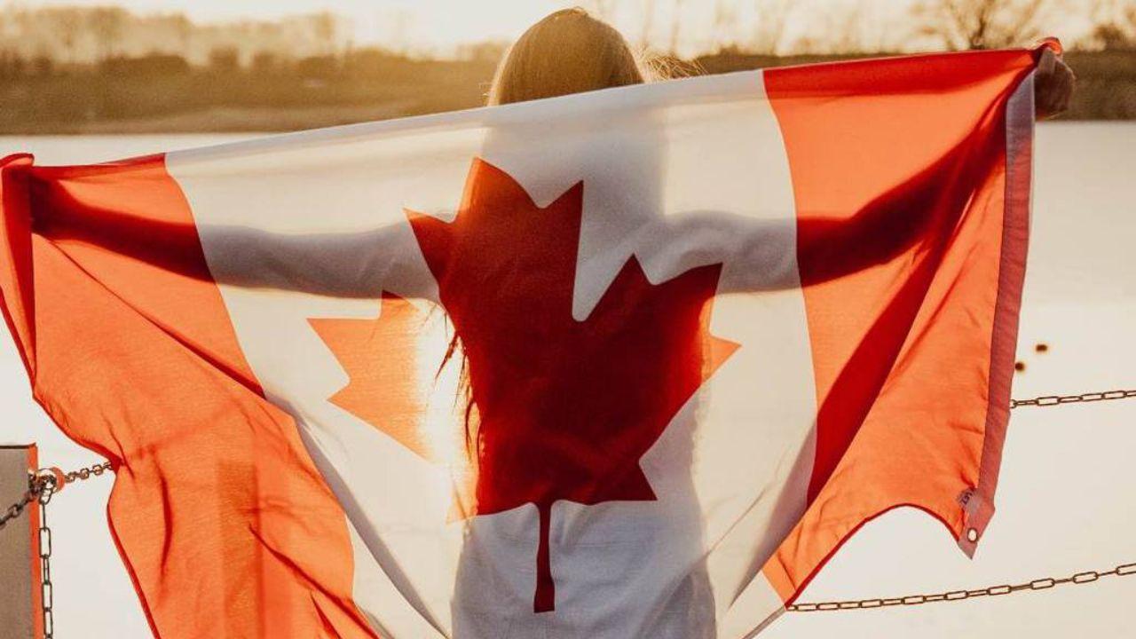 Imagen de Estas son las 10 profesiones más solicitadas en Canadá; ofrecen hasta L 500 mil anuales