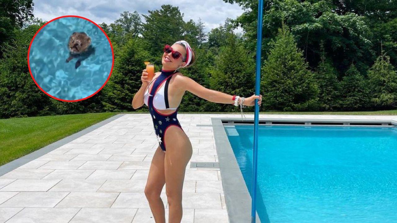 Imagen Principal de Nota: ¿Estás bien, precioso? Thalía le salva la vida a un pequeñito que ahogaba en su piscina