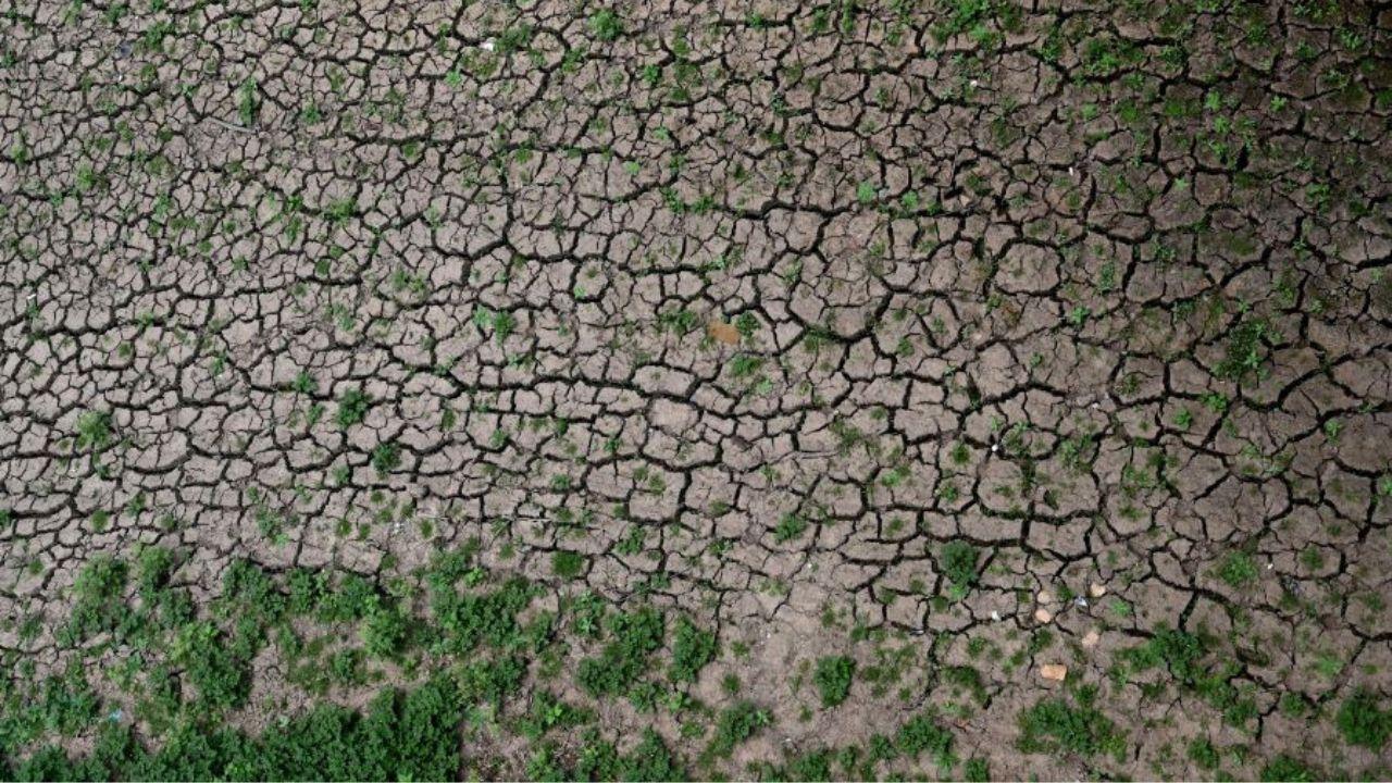 Imagen de Alertan riesgo de hambruna por sequía en fronteras de Honduras, Guatemala y El Salvador