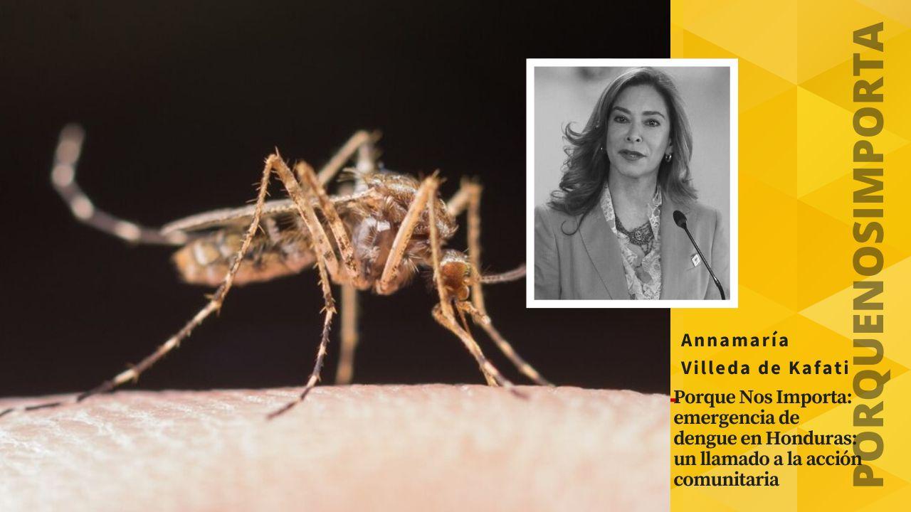 Imagen Principal de Nota: Porque Nos Importa: emergencia de dengue en Honduras: un llamado a la acción comunitaria