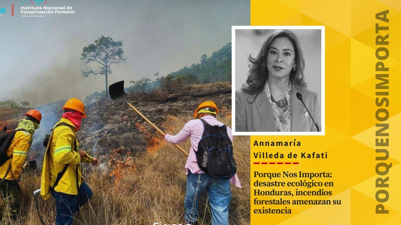 Imagen de Porque Nos Importa: desastres ecológicos por  incendios forestales