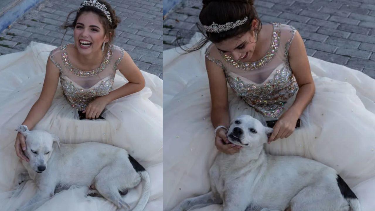 Imagen Principal de Nota: ‘Firulais’ se convierte en protagonista en sesión de fotos de quinceañera