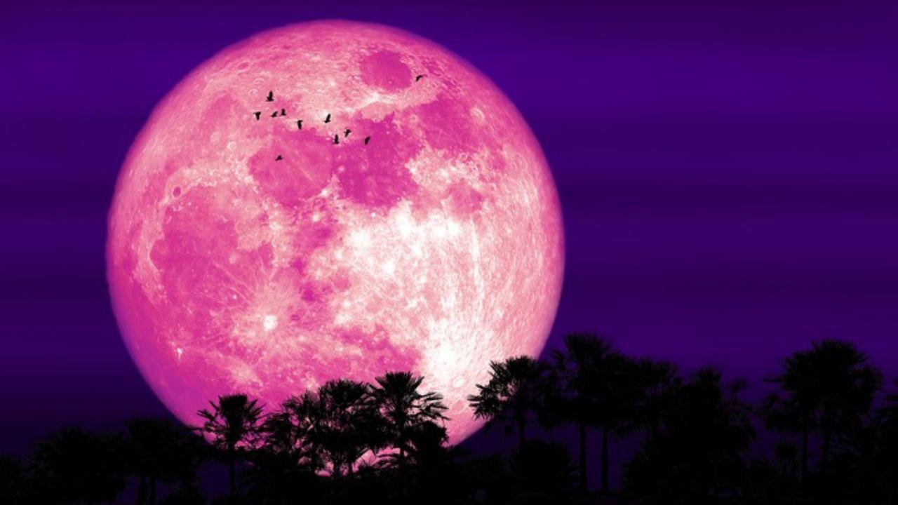 Imagen Principal de Nota: Luna Rosa 2024: ¿Cómo disfrutar del espectáculo celestial del 23 de abril?