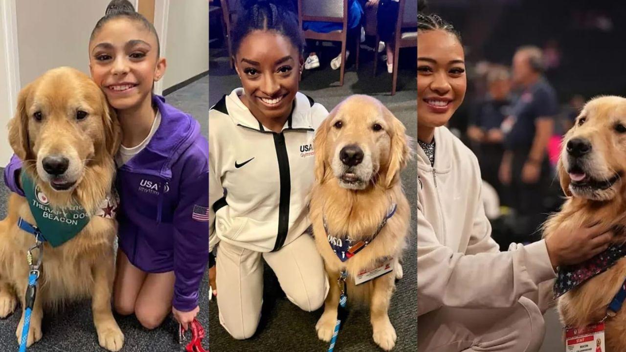 Imagen Principal de Nota: 'Beacon', el perro terapéutico del equipo de gimnasia de EE. UU.  en los JJ OO de París