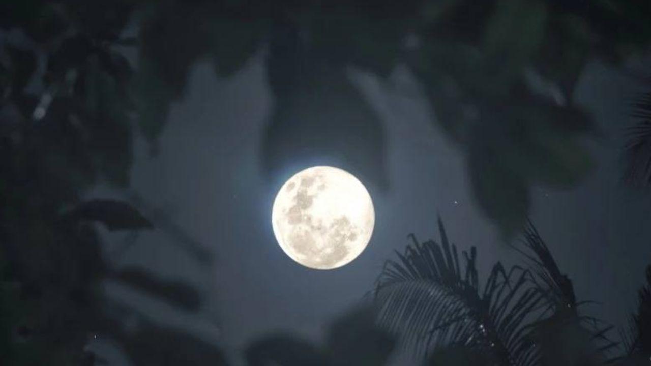 Imagen Principal de Nota: ¿No la viste? Así se vio la Luna Llena de este 12 de febrero en Honduras