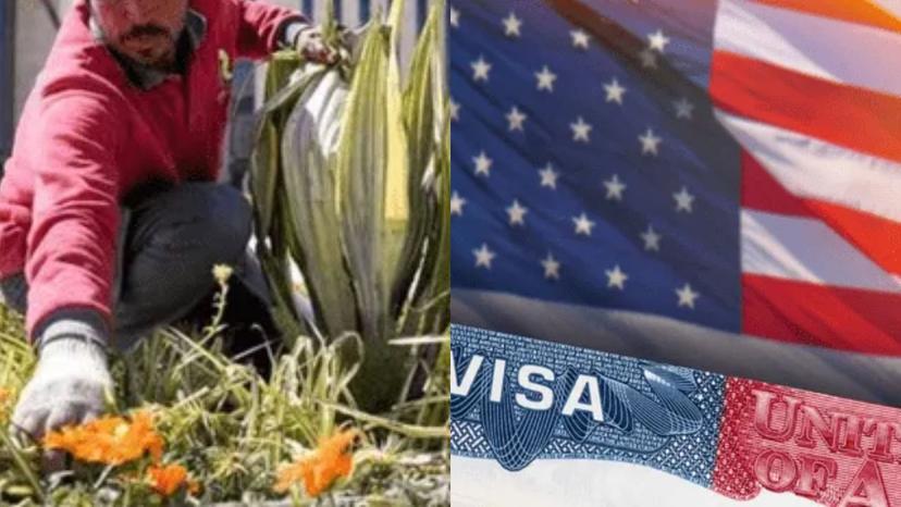 ¿Se puede trabajar en Estados Unidos  con visa de turista? Esto dice una experta