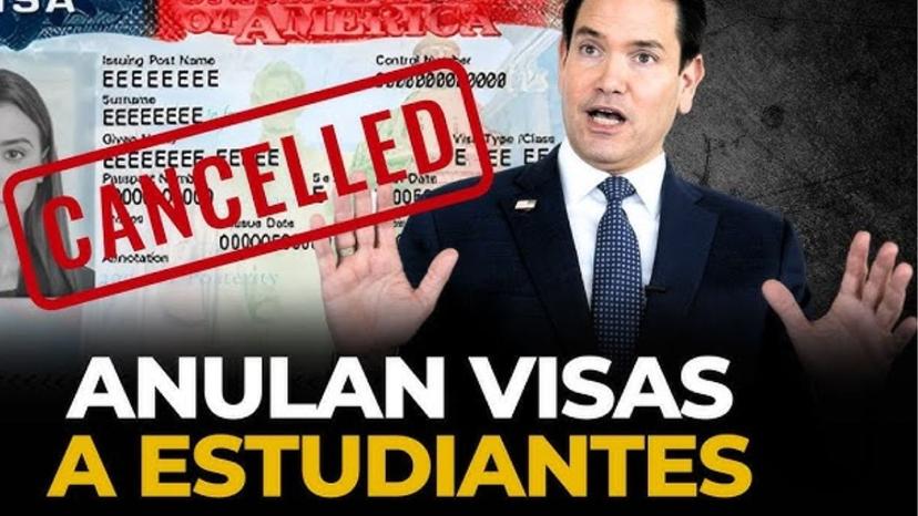 ¿EE. UU. está cancelando visas de estudiantes? Esto dice la abogada Marcela  Caro ro