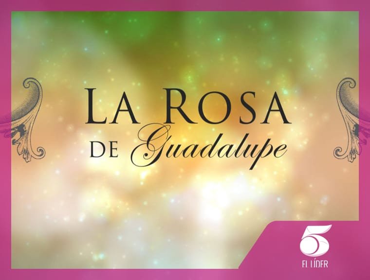 Canal 5 Online