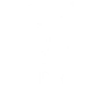Canal 5